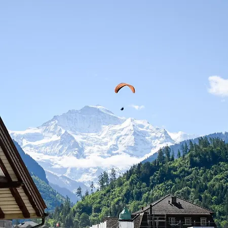 Cozy Swiss - & Mountain View *